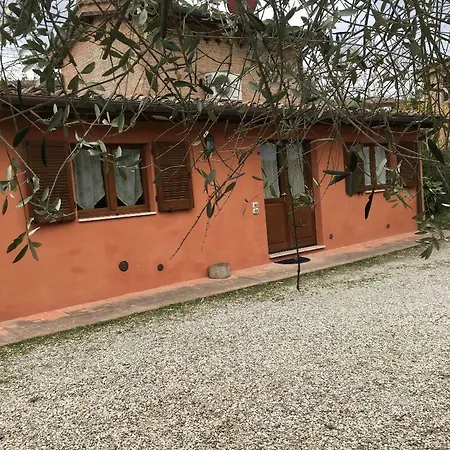 Panorama Di * Siena