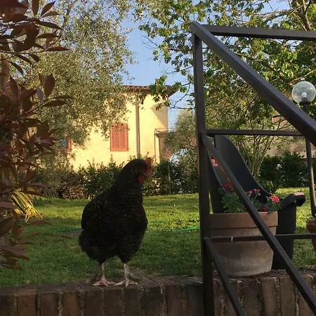 Panorama Di * 시에나