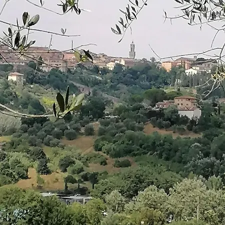 Apartment Panorama Di *