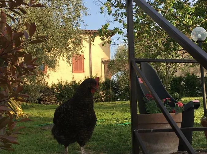 Panorama Di * 시에나